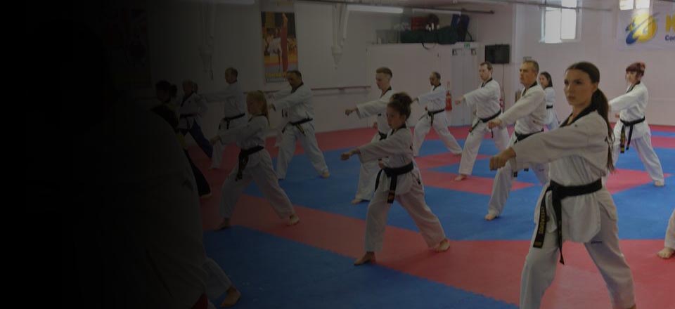 Taekwondo, Boxing, Kick Boxing